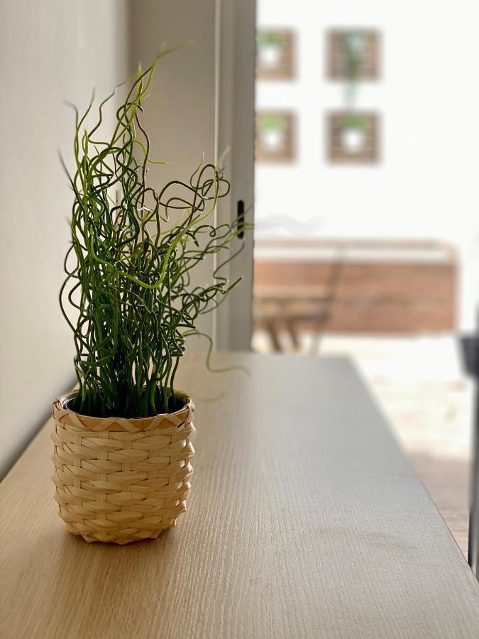 White Sand Apartments Downtown อัลบูเฟรา ภายนอก รูปภาพ